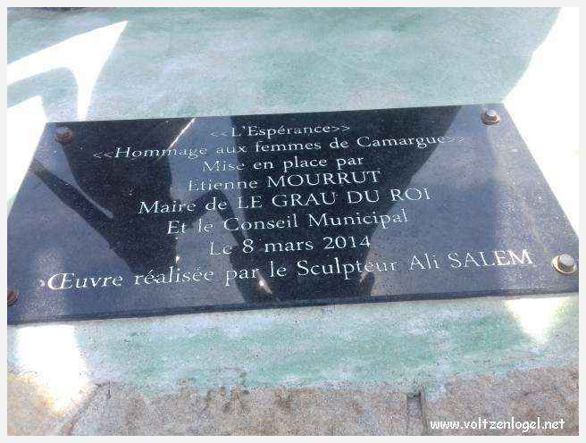 Cheval camarguais galopant librement dans les marais, symbole de la nature sauvage de la Camargue.