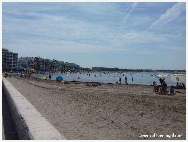 Cheval camarguais galopant librement dans les marais, symbole de la nature sauvage de la Camargue.