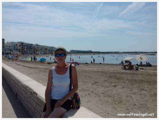 Cheval camarguais galopant librement dans les marais, symbole de la nature sauvage de la Camargue.