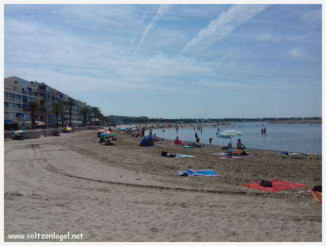 Cheval camarguais galopant librement dans les marais, symbole de la nature sauvage de la Camargue.