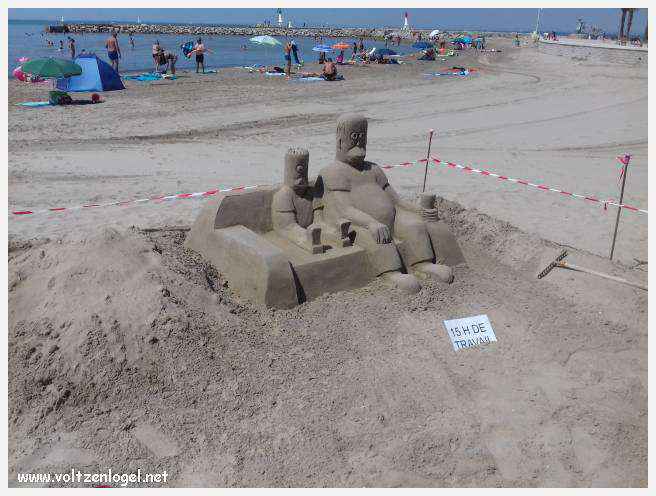 Cheval camarguais galopant librement dans les marais, symbole de la nature sauvage de la Camargue.