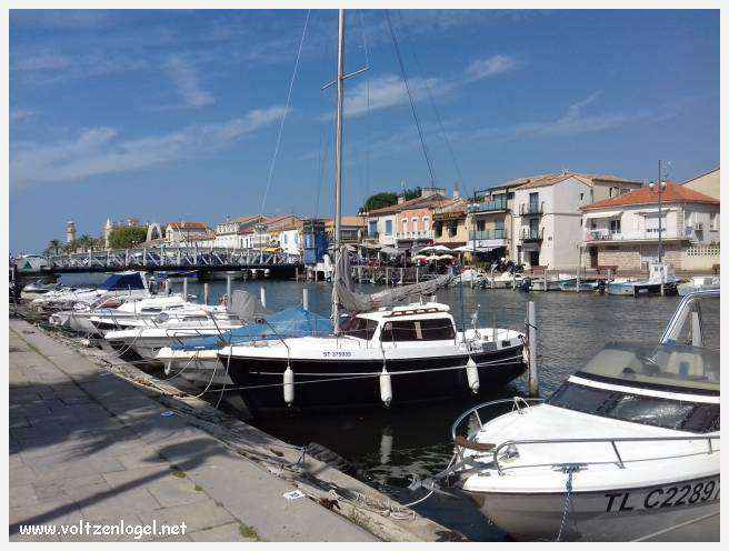 Cheval camarguais galopant librement dans les marais, symbole de la nature sauvage de la Camargue.