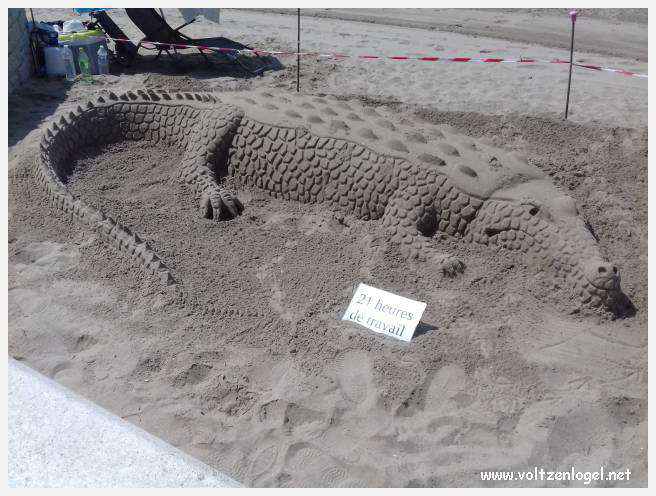 Cheval camarguais galopant librement dans les marais, symbole de la nature sauvage de la Camargue.