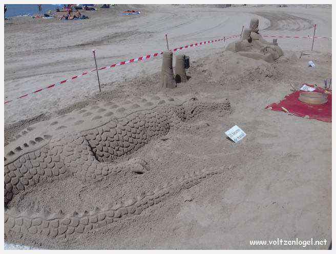 Cheval camarguais galopant librement dans les marais, symbole de la nature sauvage de la Camargue.