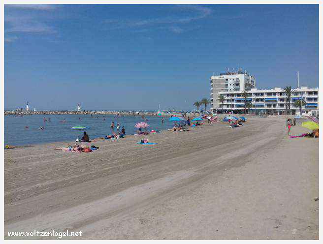 Cheval camarguais galopant librement dans les marais, symbole de la nature sauvage de la Camargue.