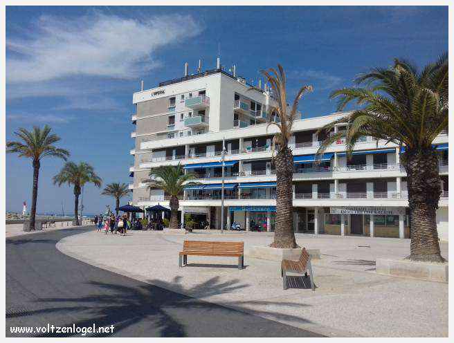 Cheval camarguais galopant librement dans les marais, symbole de la nature sauvage de la Camargue.