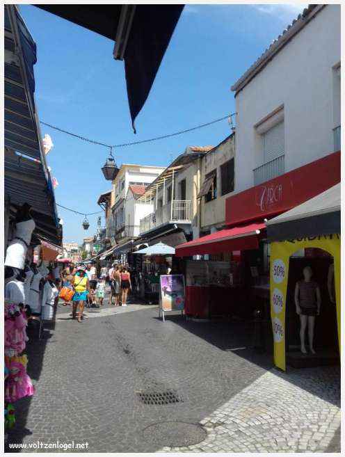 Cheval camarguais galopant librement dans les marais, symbole de la nature sauvage de la Camargue.