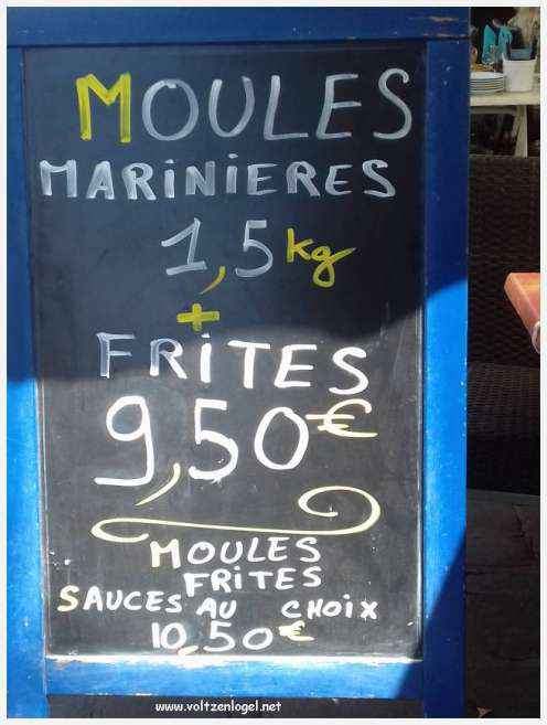 Cheval camarguais galopant librement dans les marais, symbole de la nature sauvage de la Camargue.