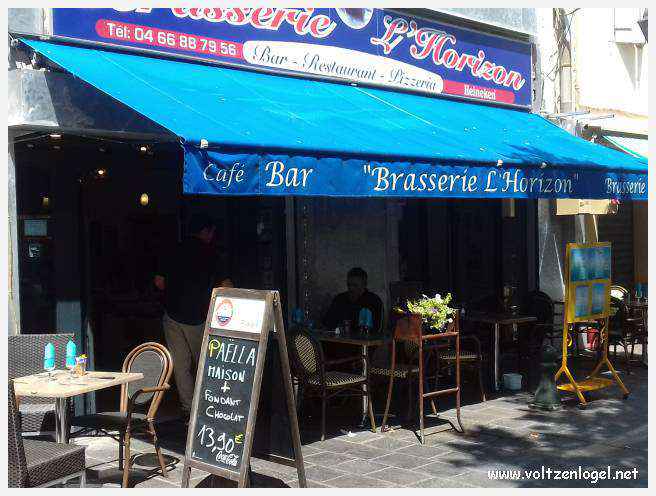Cheval camarguais galopant librement dans les marais, symbole de la nature sauvage de la Camargue.