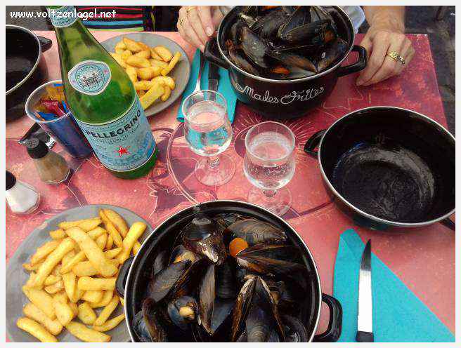 Cheval camarguais galopant librement dans les marais, symbole de la nature sauvage de la Camargue.