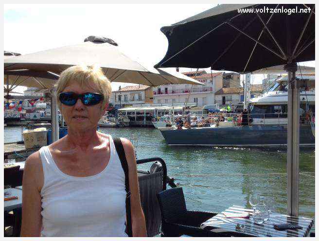 Cheval camarguais galopant librement dans les marais, symbole de la nature sauvage de la Camargue.