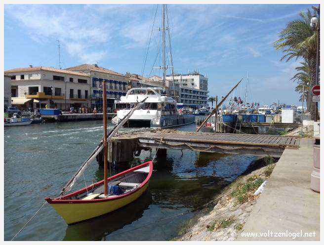 Cheval camarguais galopant librement dans les marais, symbole de la nature sauvage de la Camargue.