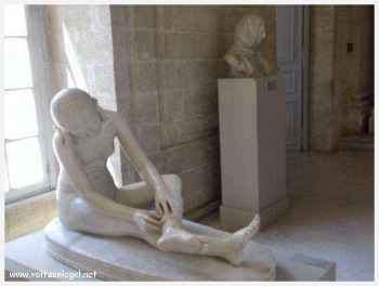 Musée Calvet à Avignon. Avignon en Provence, les incontournables