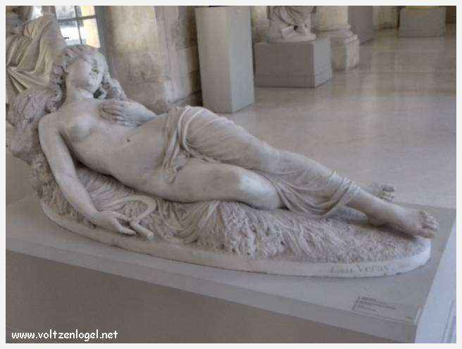 Exploration des trésors artistiques et historiques du Musée Calvet à Avignon.