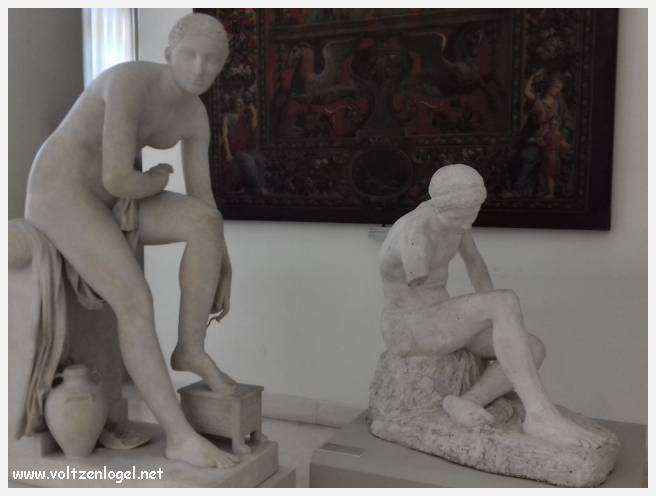 Exploration des trésors artistiques et historiques du Musée Calvet à Avignon.