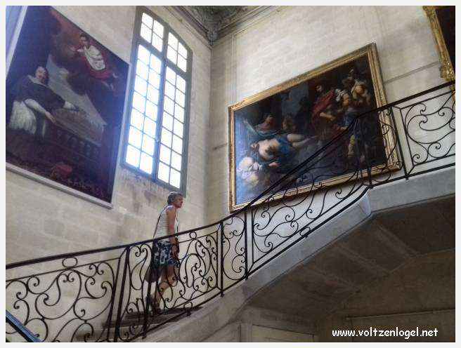 Exploration des trésors artistiques et historiques du Musée Calvet à Avignon.