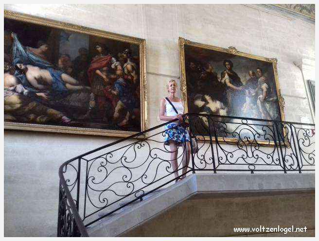 Exploration des trésors artistiques et historiques du Musée Calvet à Avignon.