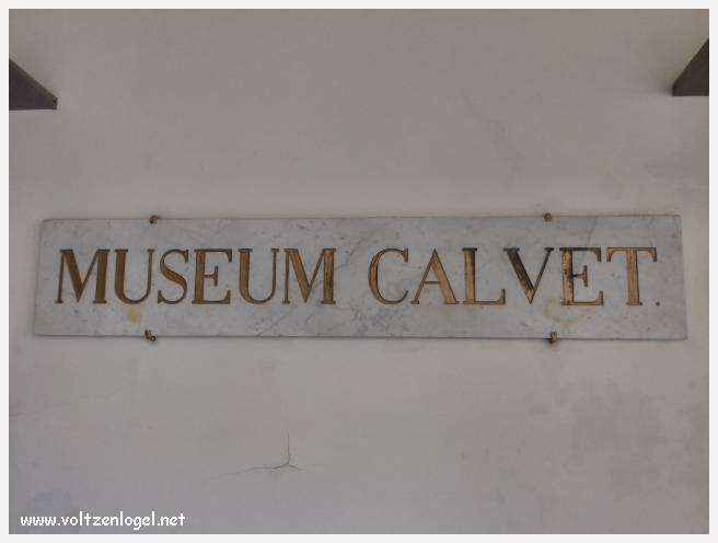 Exploration des trésors artistiques et historiques du Musée Calvet à Avignon.