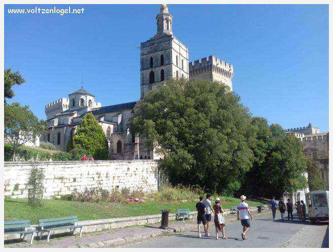 Palais des Papes à Avignon : un voyage captivant à travers l'histoire et la culture.