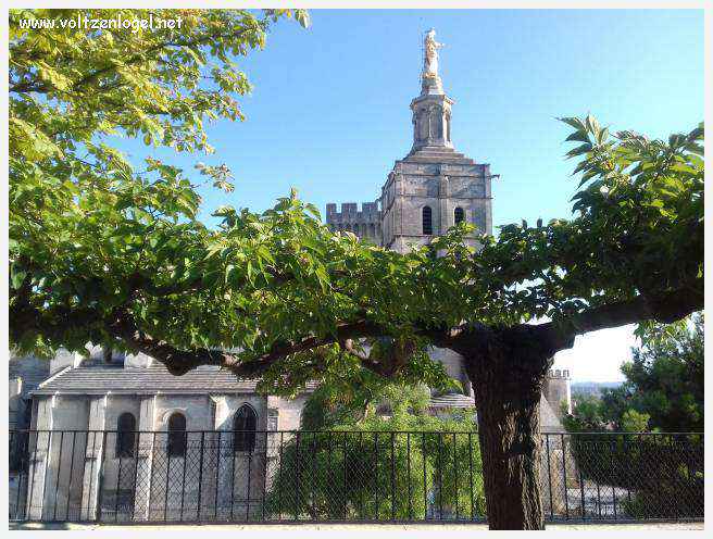Palais des Papes à Avignon : un voyage captivant à travers l'histoire et la culture.