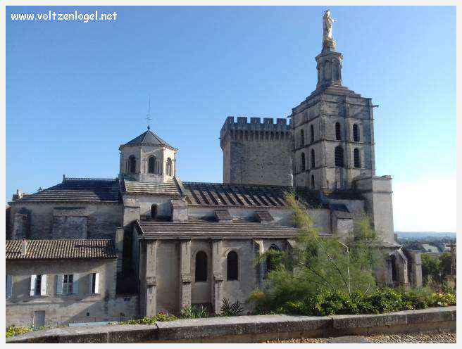 Palais des Papes à Avignon : un voyage captivant à travers l'histoire et la culture.