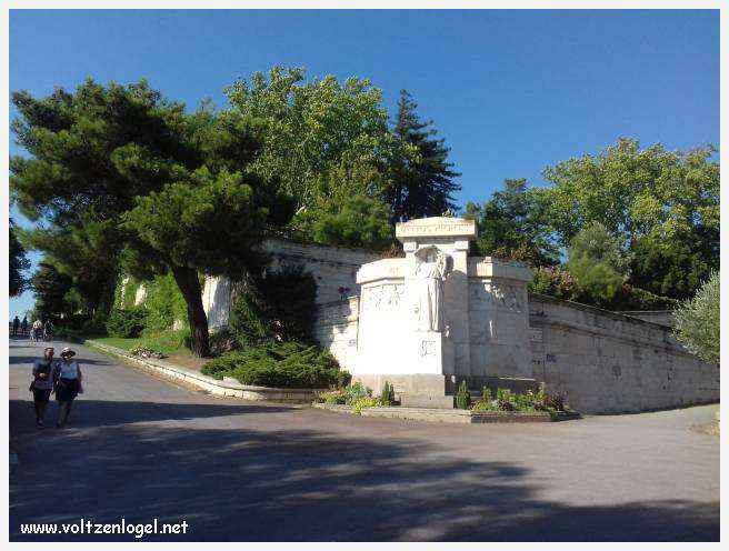 Palais des Papes à Avignon : un voyage captivant à travers l'histoire et la culture.