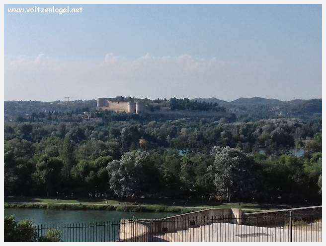 Palais des Papes à Avignon : un voyage captivant à travers l'histoire et la culture.
