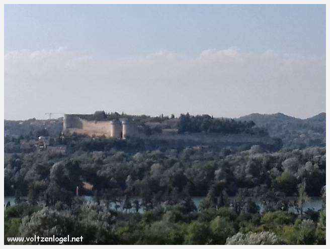 Palais des Papes à Avignon : un voyage captivant à travers l'histoire et la culture.