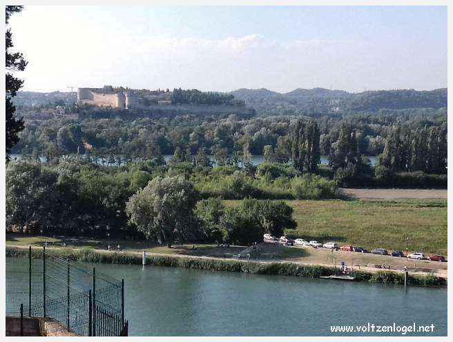Palais des Papes à Avignon : un voyage captivant à travers l'histoire et la culture.