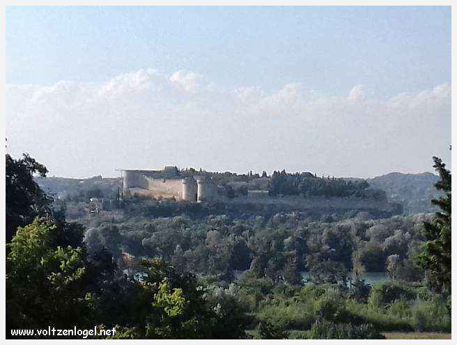Palais des Papes à Avignon : un voyage captivant à travers l'histoire et la culture.