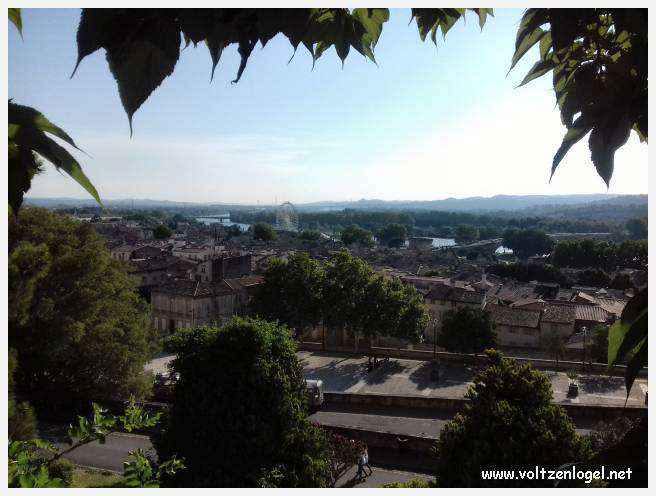 Palais des Papes à Avignon : un voyage captivant à travers l'histoire et la culture.