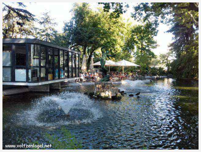 Palais des Papes à Avignon : un voyage captivant à travers l'histoire et la culture.