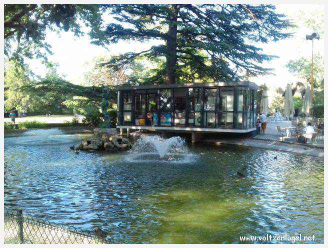 Palais des Papes à Avignon : un voyage captivant à travers l'histoire et la culture.