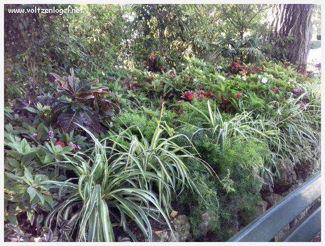 Palais des Papes à Avignon : un voyage captivant à travers l'histoire et la culture.
