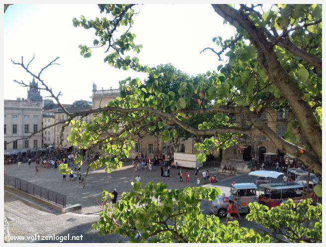 Palais des Papes à Avignon : un voyage captivant à travers l'histoire et la culture.