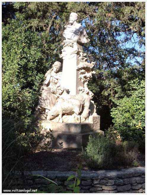 Palais des Papes à Avignon : un voyage captivant à travers l'histoire et la culture.