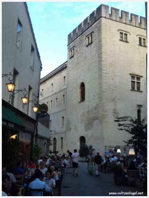 Palais des Papes à Avignon : un voyage captivant à travers l'histoire et la culture.