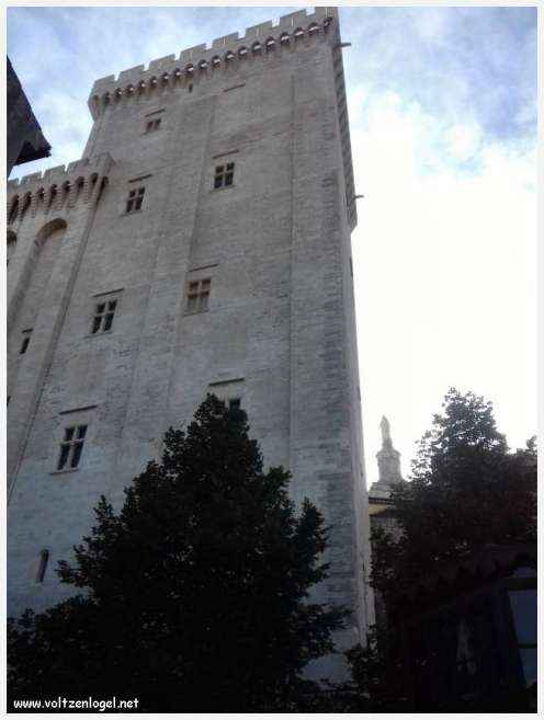 Palais des Papes à Avignon : un voyage captivant à travers l'histoire et la culture.