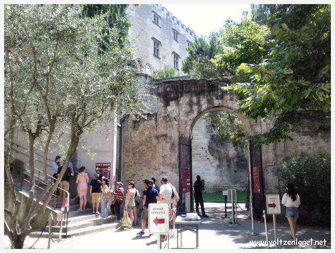 Palais des Papes à Avignon : un voyage captivant à travers l'histoire et la culture.