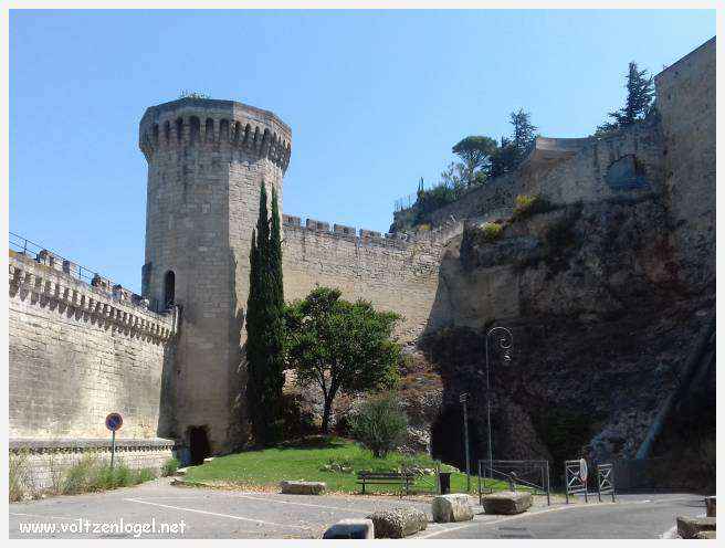 Palais des Papes à Avignon : un voyage captivant à travers l'histoire et la culture.