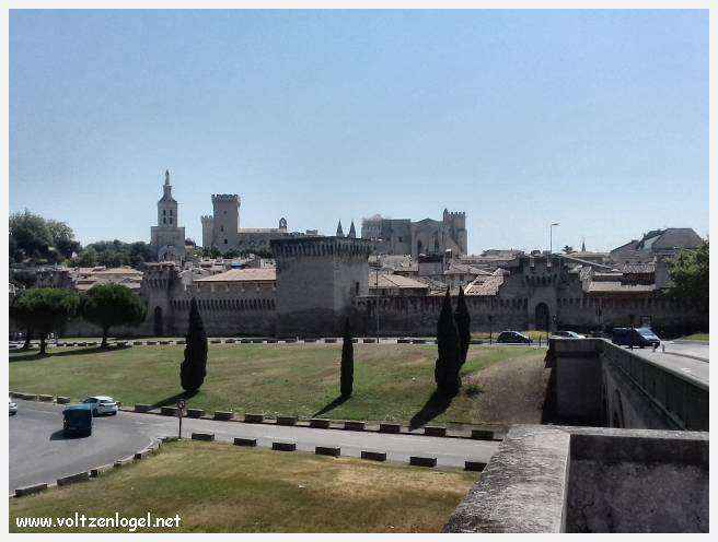 Palais des Papes à Avignon : un voyage captivant à travers l'histoire et la culture.
