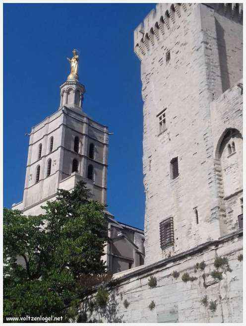 Palais des Papes à Avignon : un voyage captivant à travers l'histoire et la culture.