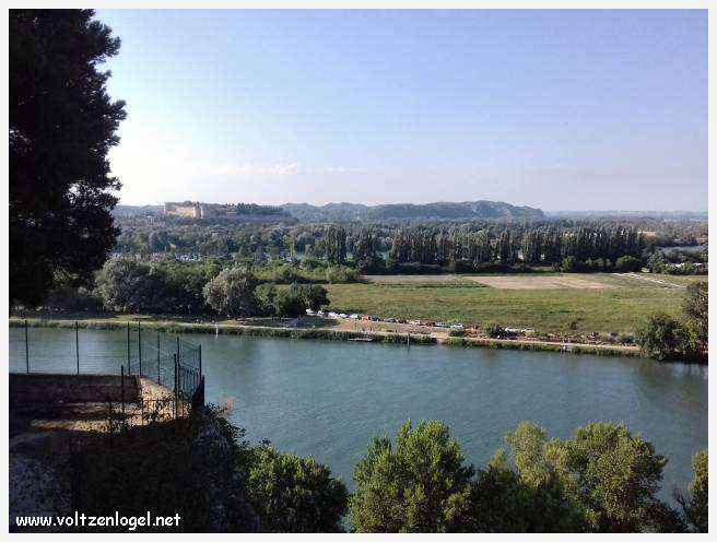 Vue envoûtante du Pont Saint-Bénézet, témoin de l'histoire médiévale et des trésors d'Avignon.
