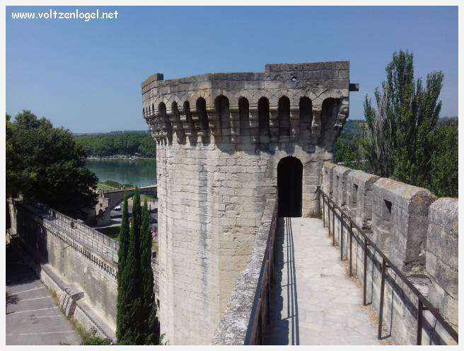 Vue envoûtante du Pont Saint-Bénézet, témoin de l'histoire médiévale et des trésors d'Avignon.