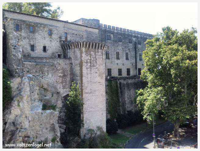 Vue envoûtante du Pont Saint-Bénézet, témoin de l'histoire médiévale et des trésors d'Avignon.