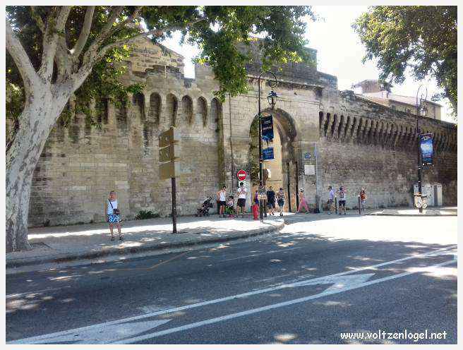 Vue envoûtante du Pont Saint-Bénézet, témoin de l'histoire médiévale et des trésors d'Avignon.