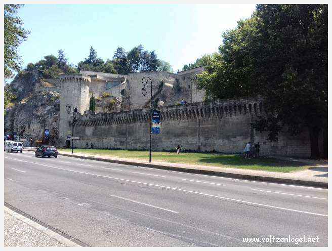 Vue envoûtante du Pont Saint-Bénézet, témoin de l'histoire médiévale et des trésors d'Avignon.