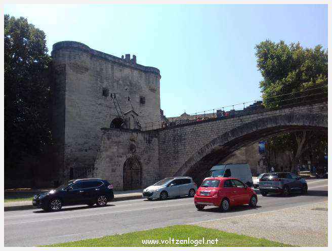 Vue envoûtante du Pont Saint-Bénézet, témoin de l'histoire médiévale et des trésors d'Avignon.