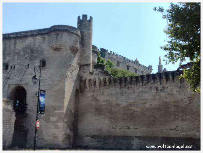 Vue envoûtante du Pont Saint-Bénézet, témoin de l'histoire médiévale et des trésors d'Avignon.