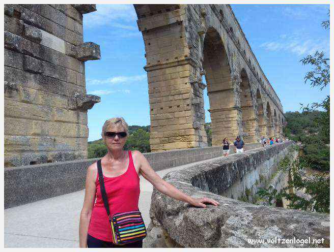 Vue envoûtante du Pont Saint-Bénézet, témoin de l'histoire médiévale et des trésors d'Avignon.